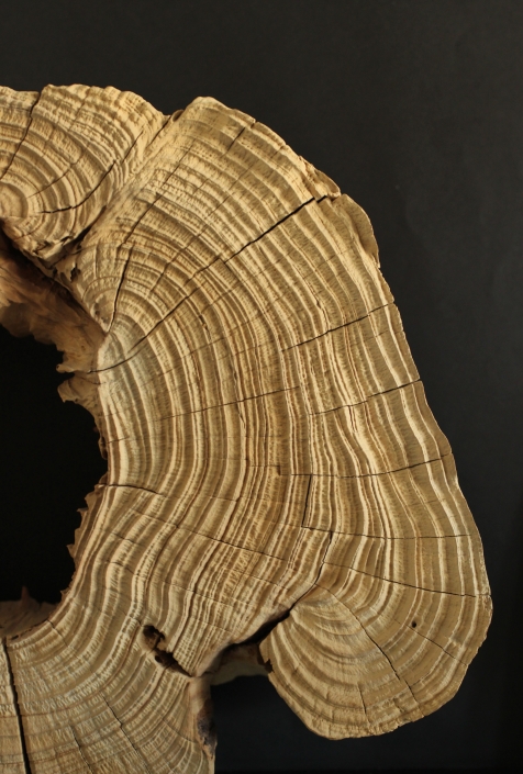Bois sablé aérogommage ile de france paris CPR 94 fontenay-sous-bois LEGRAND SGM sablage grenaillage microbillage traitement de surface par impacts MDF MEDIUM CHENE PIN RESINEUX DOSSE SAPIN OSB PIN DEROULÉ MOTIF ALEATOIRE RESTAURANT PANNEAU EFFET DAMIER GRAVURE EFFET TEXTILE MYEN FORT LEGER METALLISATION FLOTTÉ