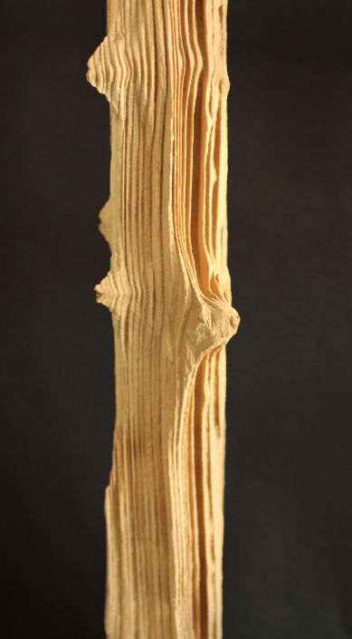Bois sablé aérogommage ile de france paris CPR 94 fontenay-sous-bois LEGRAND SGM sablage grenaillage microbillage traitement de surface par impacts MDF MEDIUM CHENE PIN RESINEUX DOSSE SAPIN OSB PIN DEROULÉ MOTIF ALEATOIRE RESTAURANT PANNEAU EFFET DAMIER GRAVURE EFFET TEXTILE MYEN FORT LEGER METALLISATION FLOTTÉ